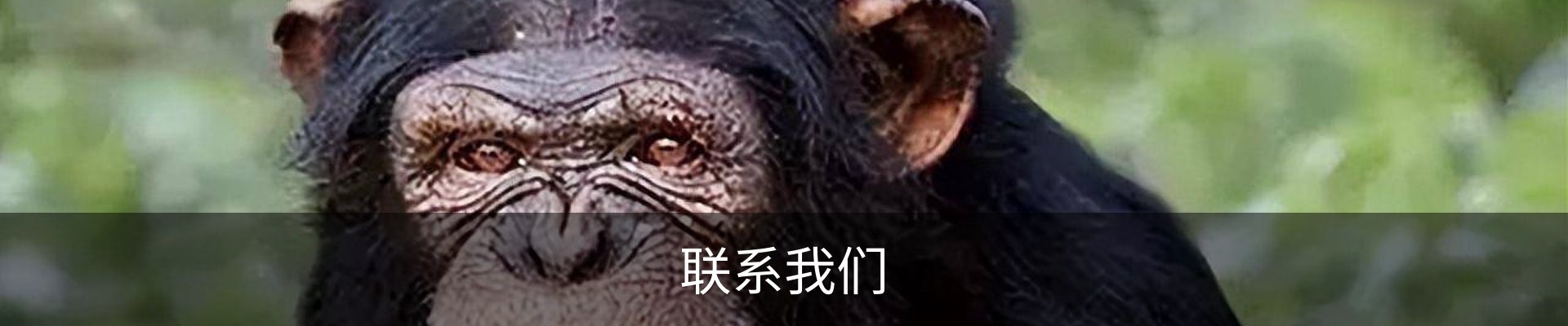 联系我们